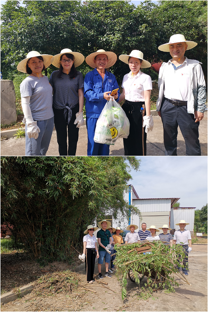 糧油集團二支部“學(xué)史力行”踐行動