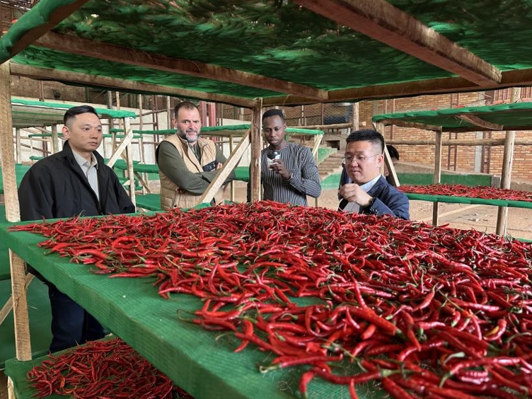 2.jpg 2.jpg